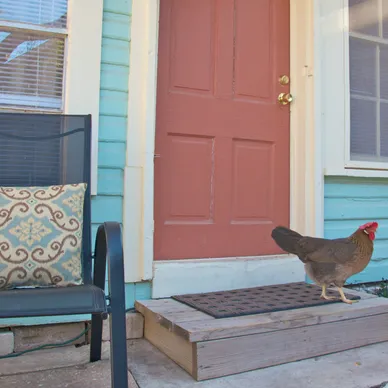 South Congress Apartment