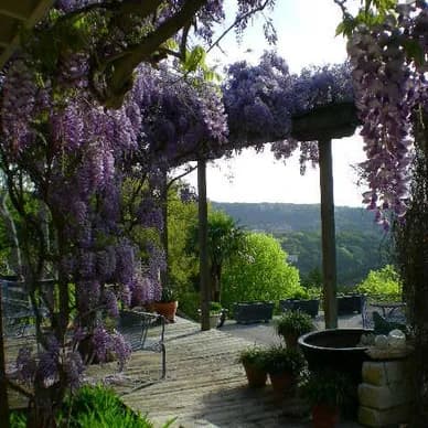 Hillside designer home,10 min.dwntn